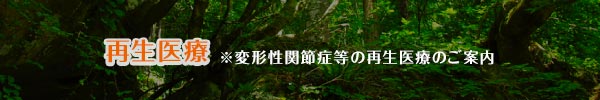 再生医療　※変形性関節症等の再生医療のご案内